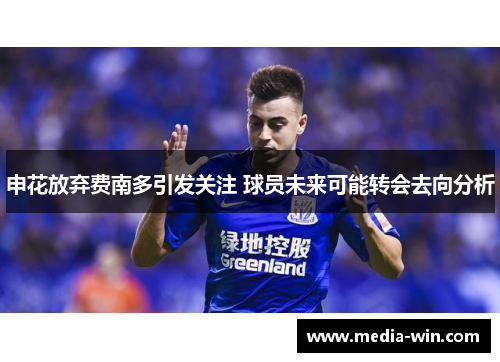 申花放弃费南多引发关注 球员未来可能转会去向分析