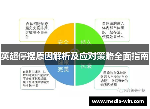 英超停摆原因解析及应对策略全面指南